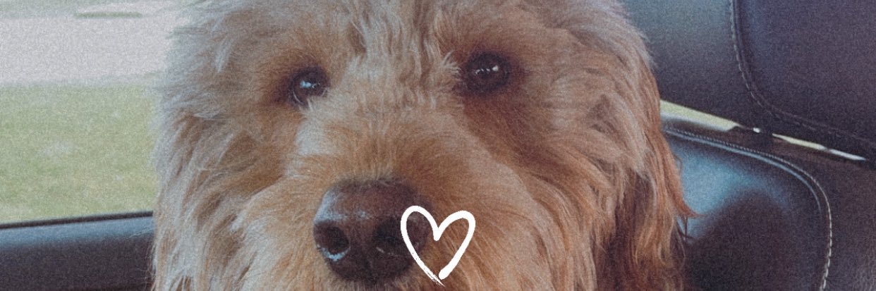 Adayt10's profile banner image