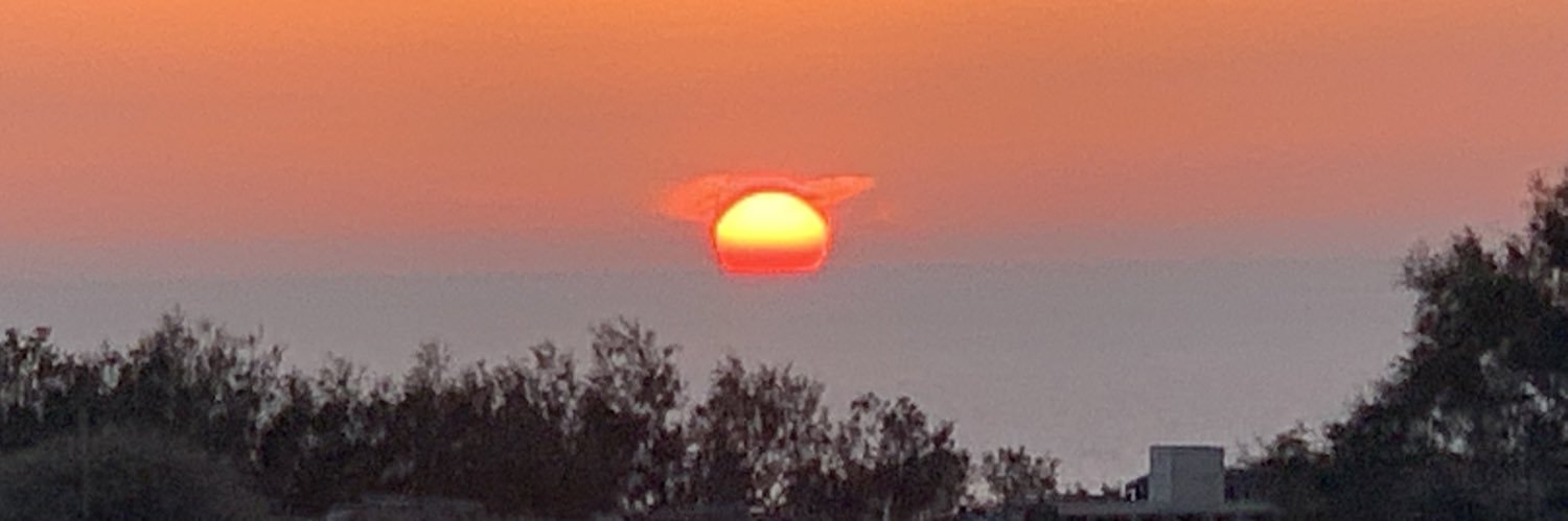 Emmanuel Merali banner