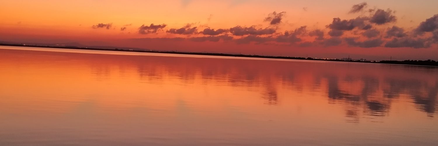 erikaruizz_'s profile banner image
