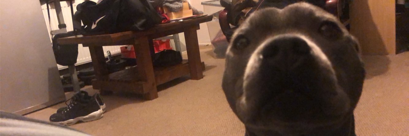 Brad Mitchell banner