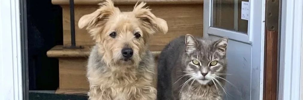 Marguerite Poulin banner