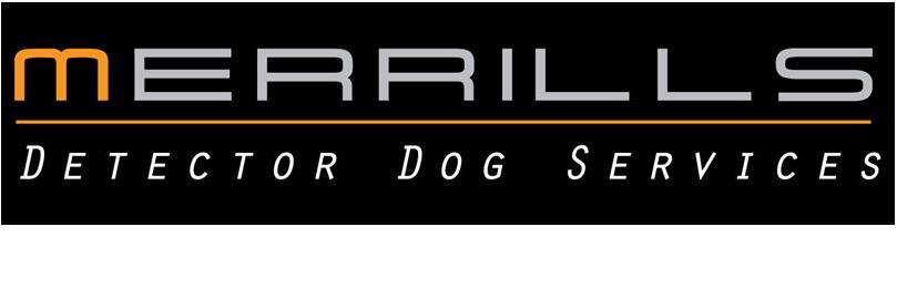 MerrillsDetecto's profile banner image