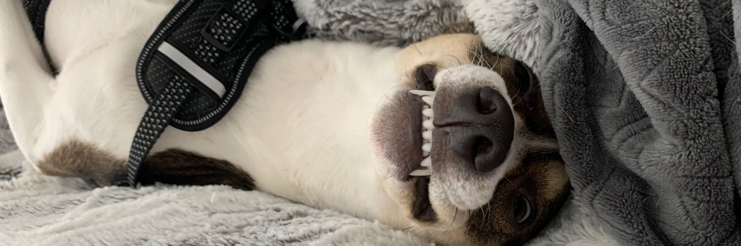 Cheezy_Queso's profile banner image
