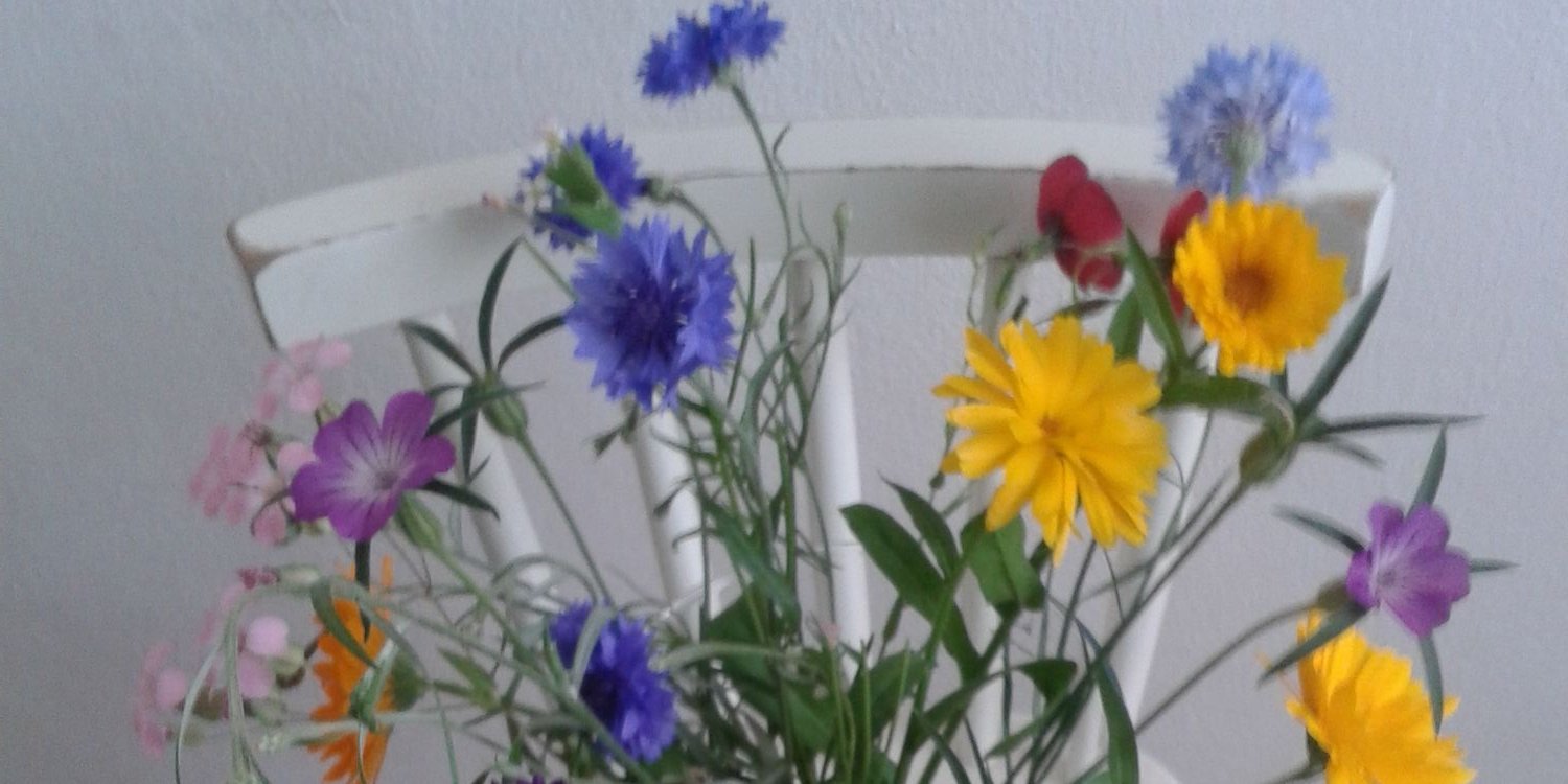 ahollebrands's profile banner image