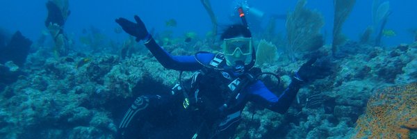 SueKarlin Profile Banner