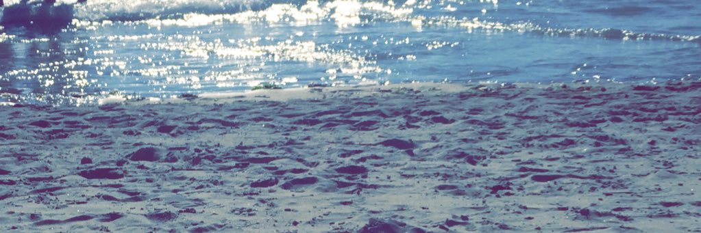 Ana_C_Cam's profile banner image