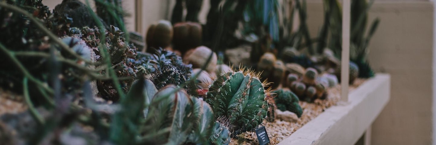ErinR_Allen's profile banner image