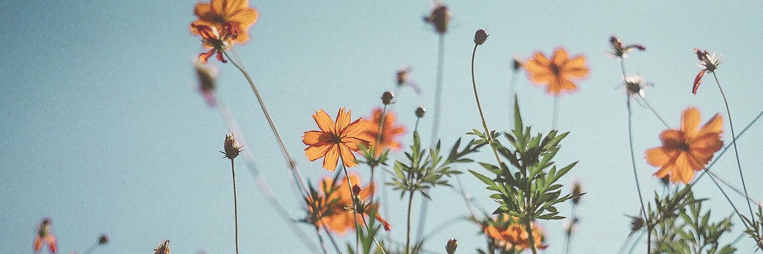 1601xx's profile banner image