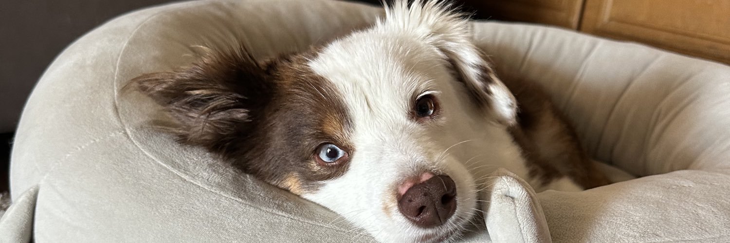 jenlynn93's profile banner image