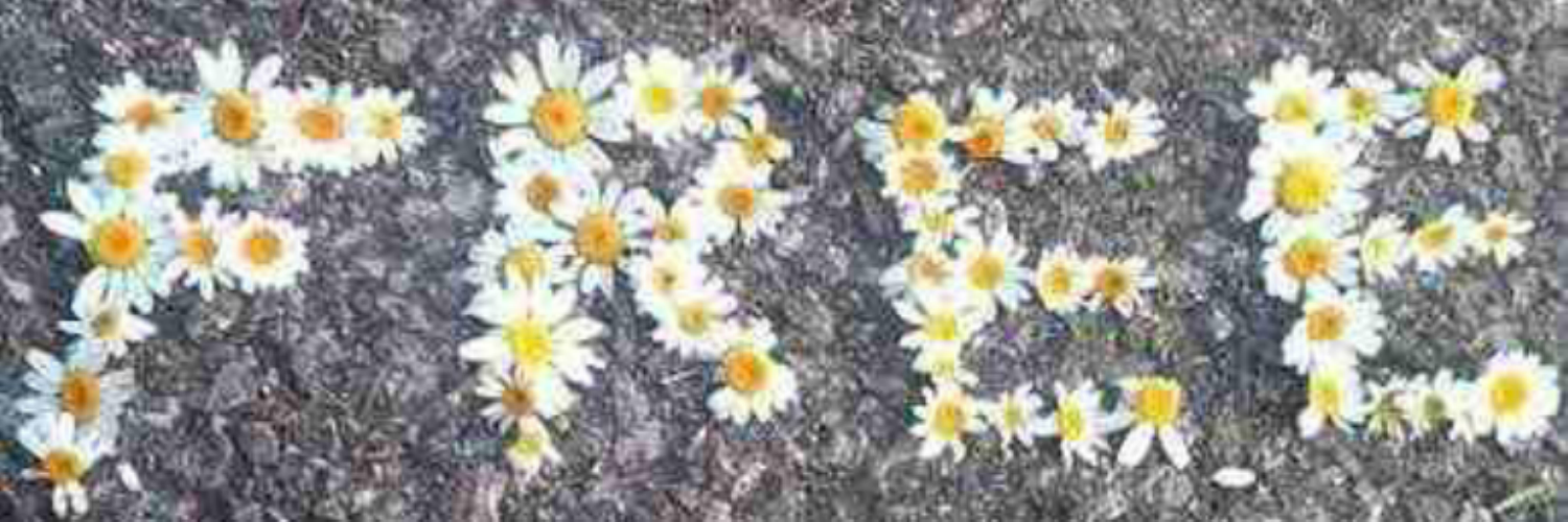 BarbaraQuigley1's profile banner image
