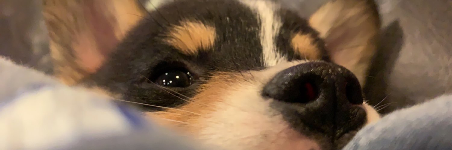 karibrooker's profile banner image