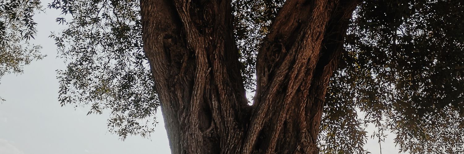 Basim_nasr's profile banner image