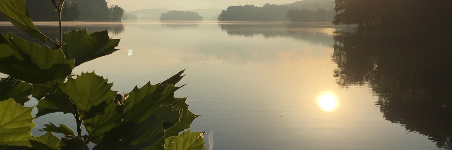 realdonscheeler's profile banner image