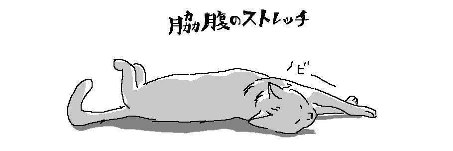 chocou's profile banner image