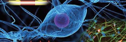 史上最強の英語コロケーション banner