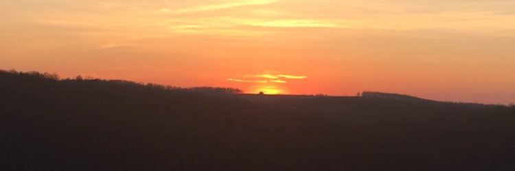 beccacovach's profile banner image