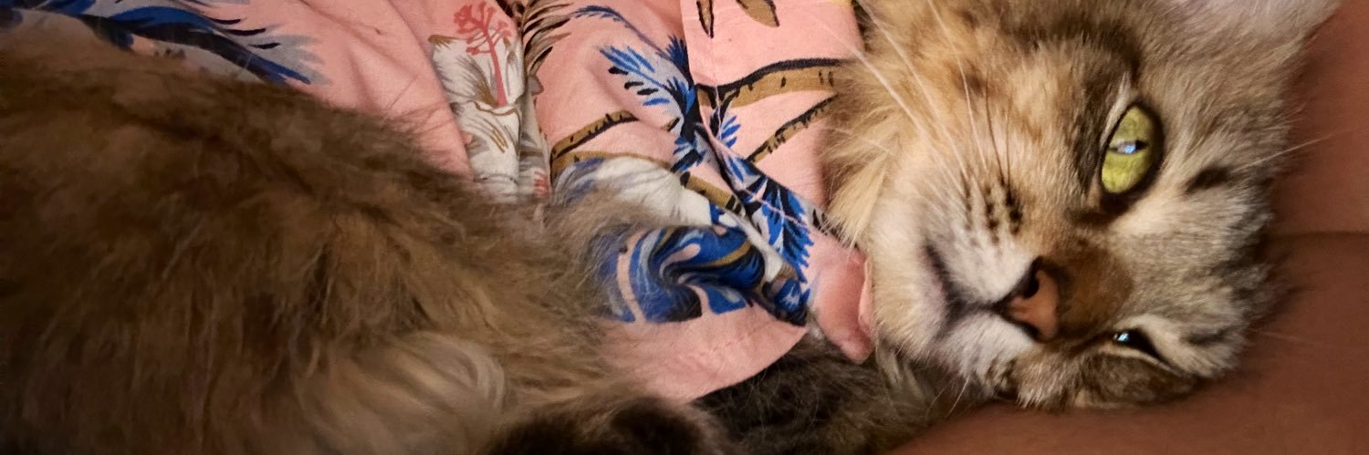 iswag23's profile banner image