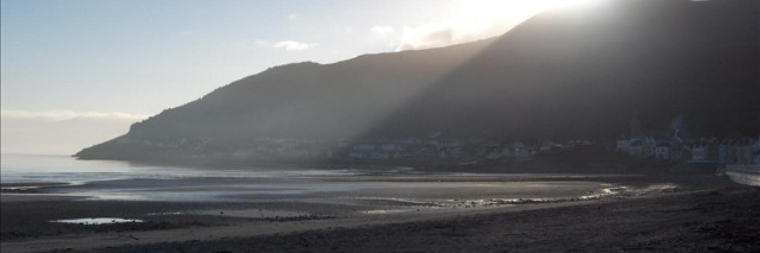 Alan Patterson banner