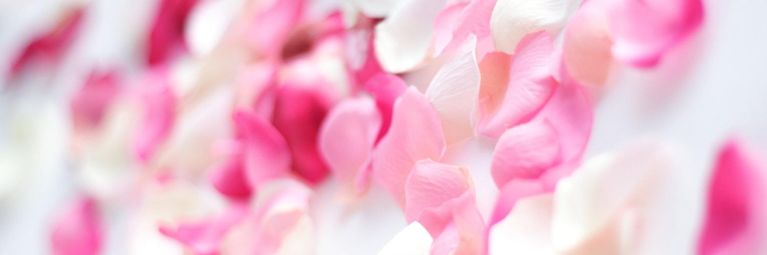 IntelliWriter 🐘🦒🐘🦒 banner