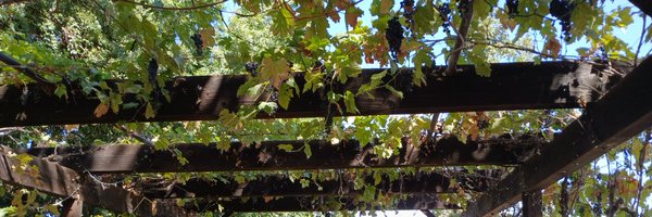 Pastor_AnnaNeal Profile Banner