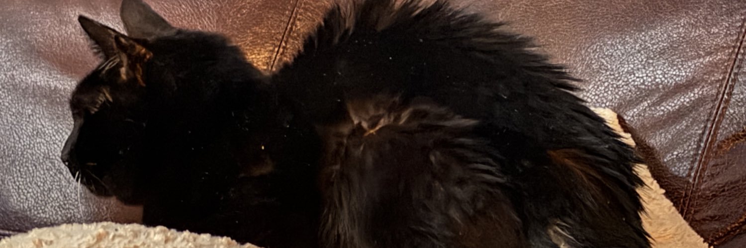 thepsychtech12's profile banner image