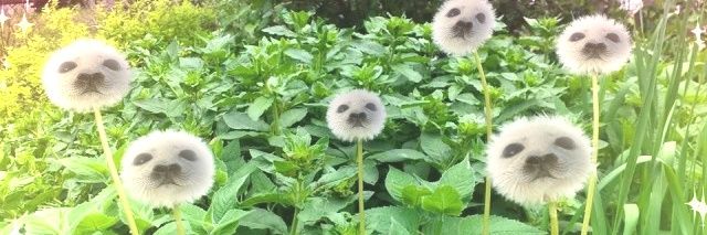 ValMoonglow's profile banner image
