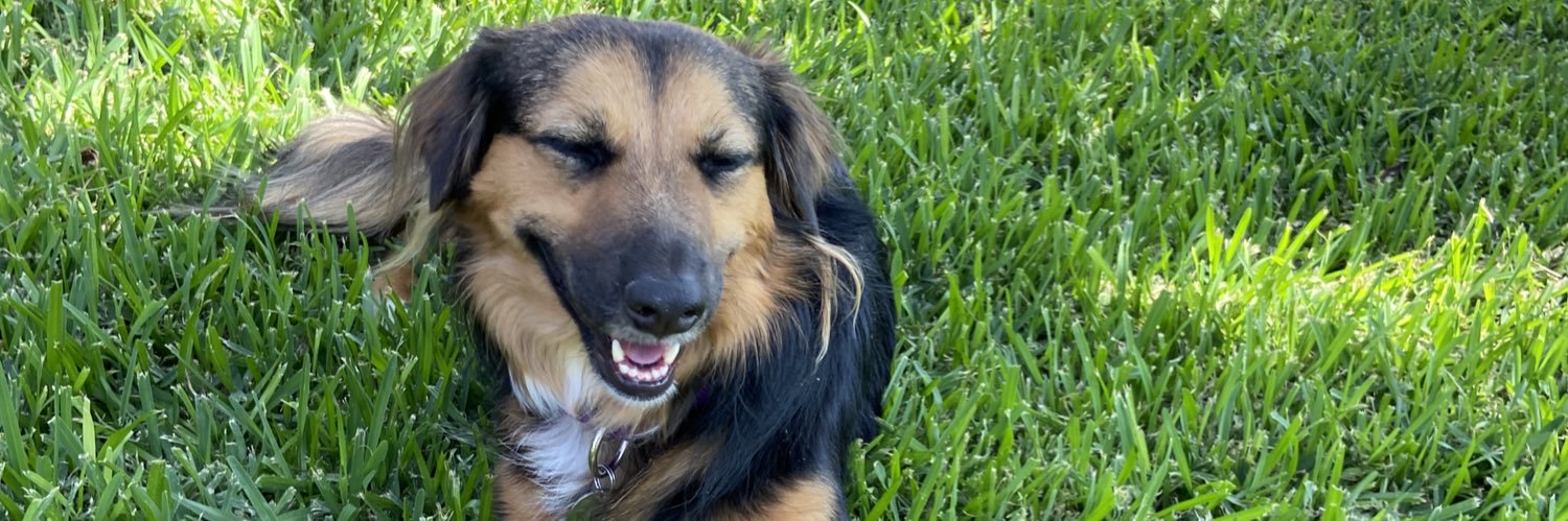 hannah_el's profile banner image