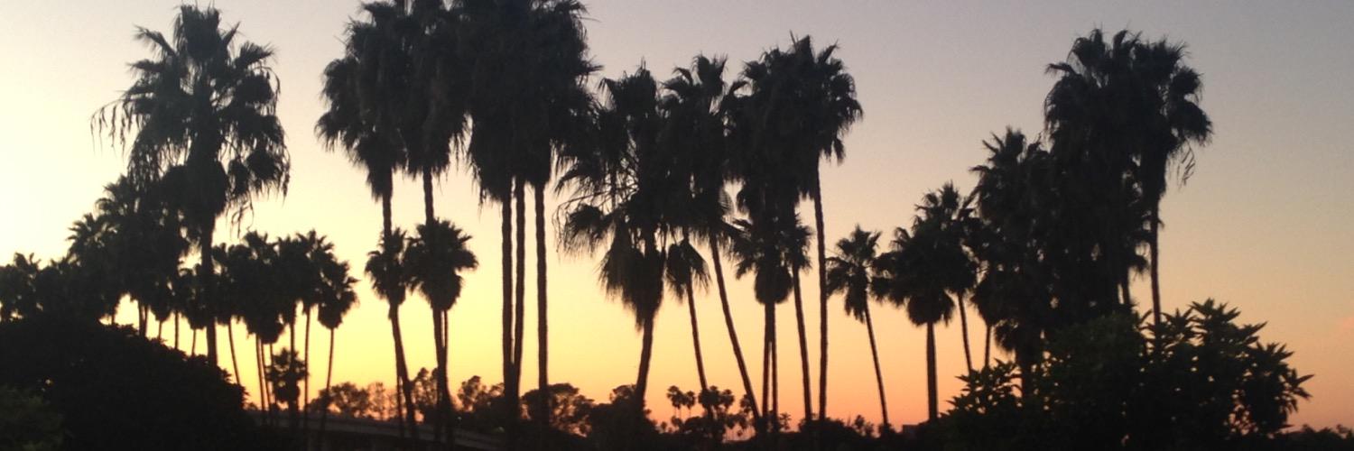 KayD151's profile banner image