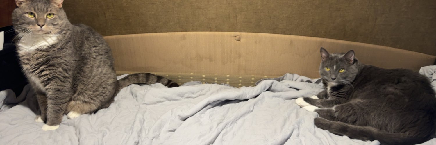 AmeliaJester's profile banner image