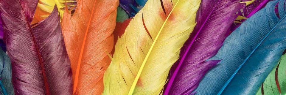 SkylerMoore07's profile banner image