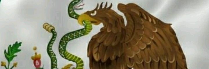 tazalfred's profile banner image