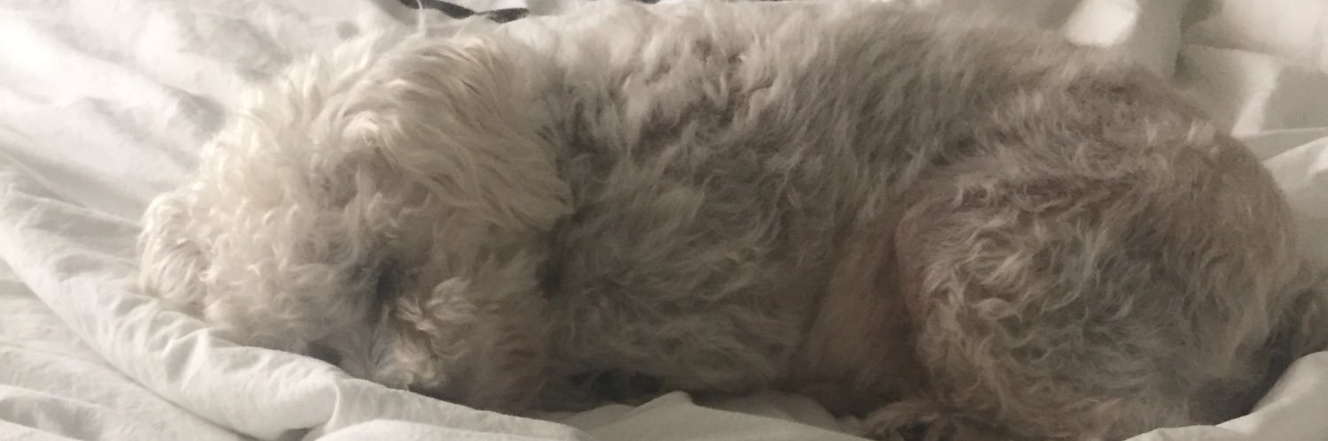 EllaHayes4's profile banner image