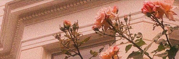 ⓜⓐⓓⓞⓝⓐ 𖥸 banner