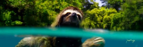 yolaghy's profile banner image