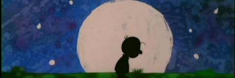 dinopeptic_germ's profile banner image