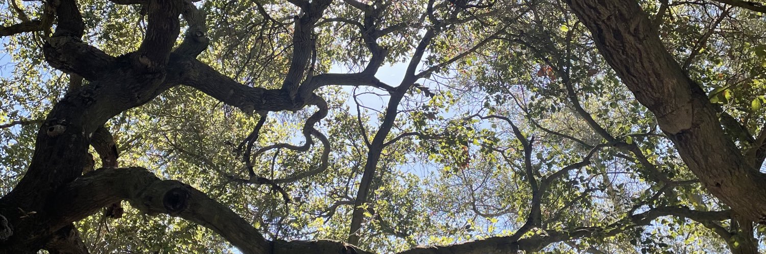 DevynPerry's profile banner image