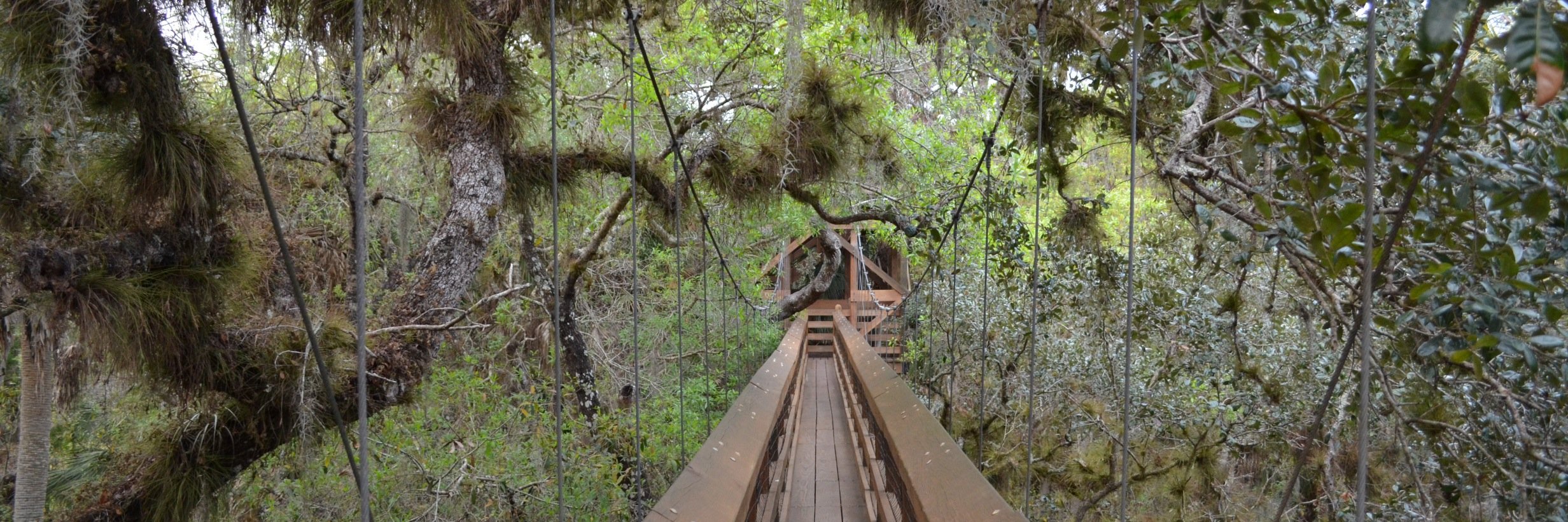 Rebecca Zarger banner