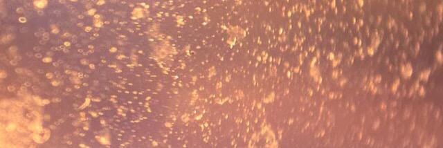 aimerscatherine's profile banner image