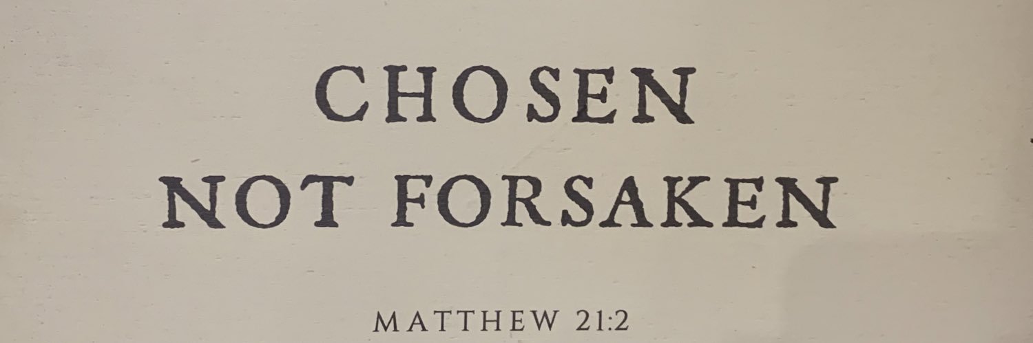 Damer Flynn *first to be tested* banner