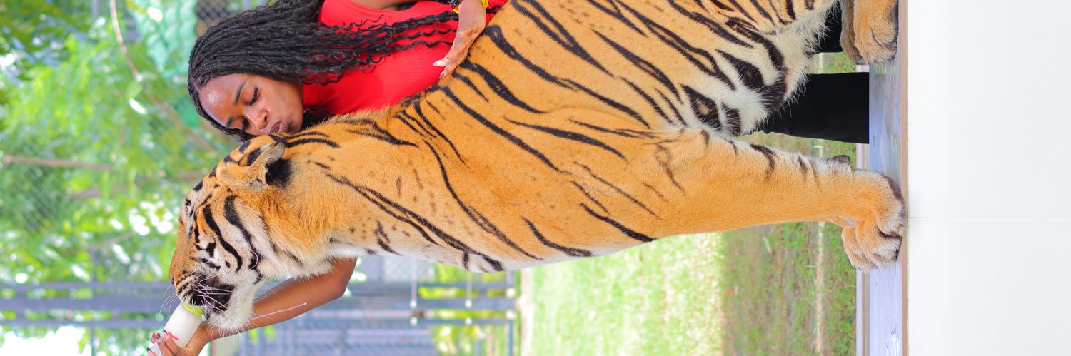 veraberry1's profile banner image