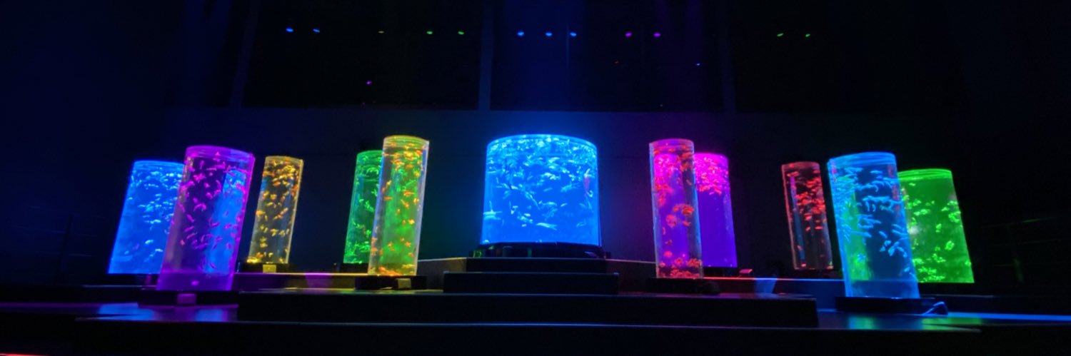 jnf_ymd's profile banner image