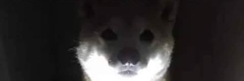 willilem's profile banner image