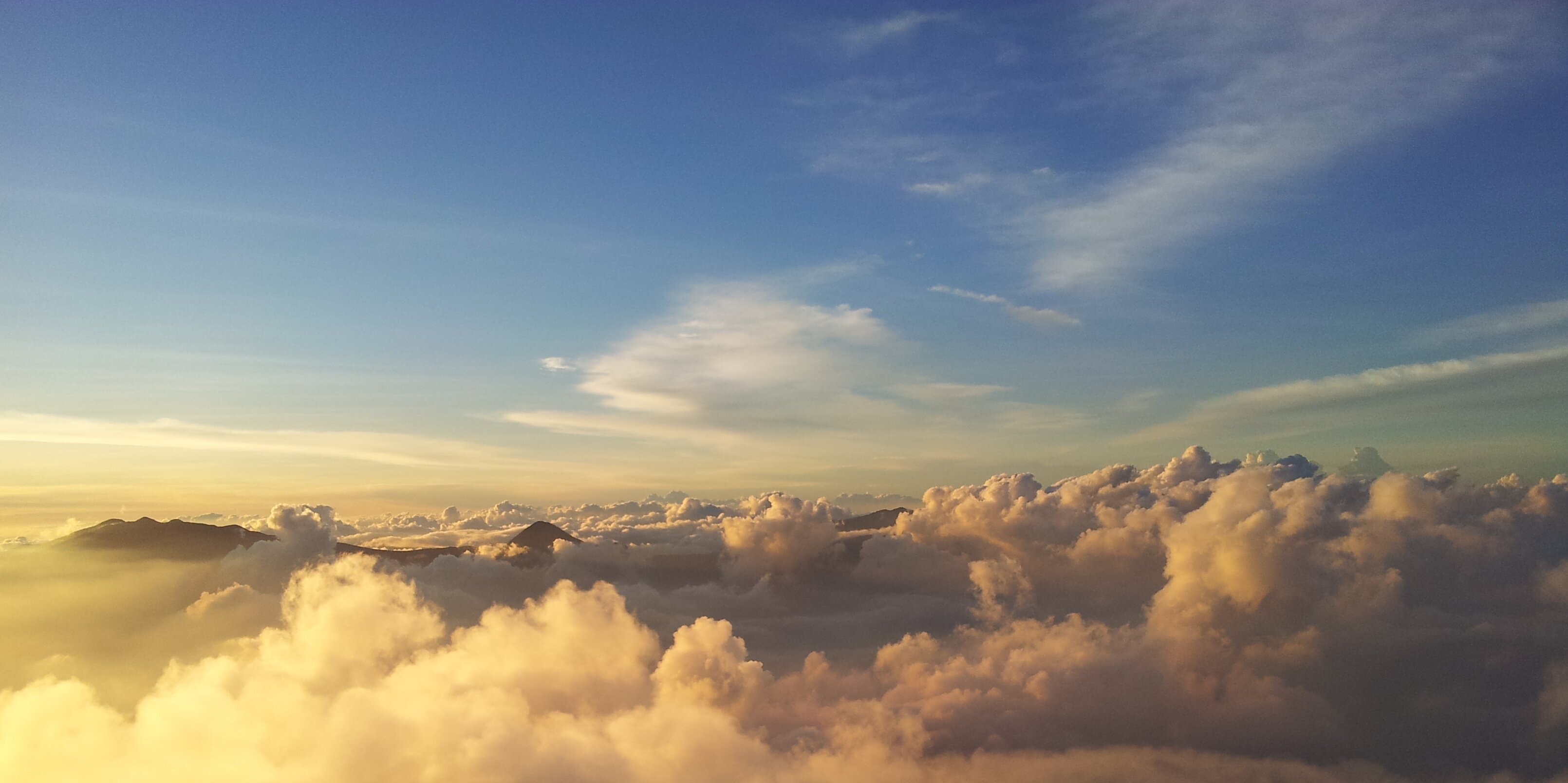 t_pam's profile banner image
