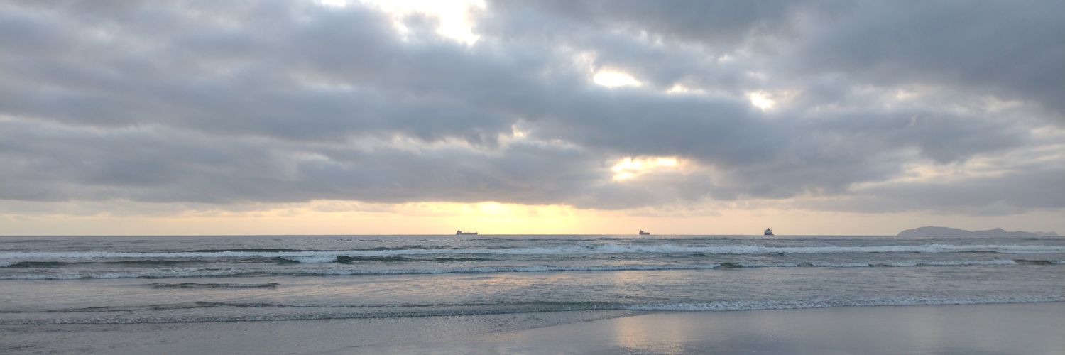 Dayanadis's profile banner image