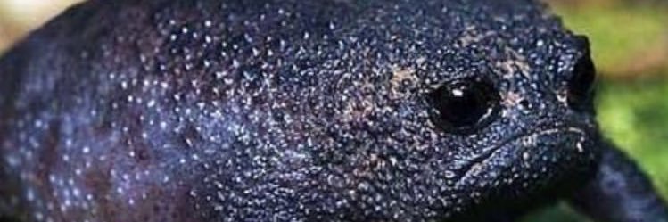 simaandreich's profile banner image