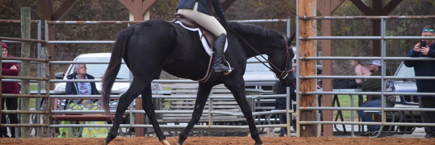 Abbey Rinker ✨ banner
