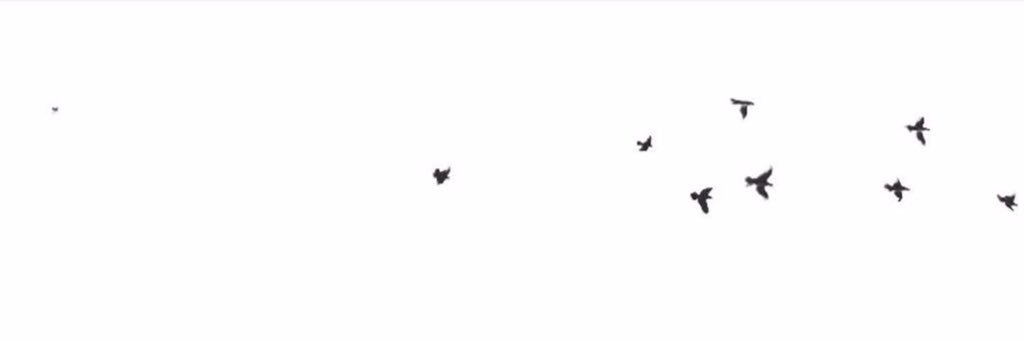 doode001's profile banner image
