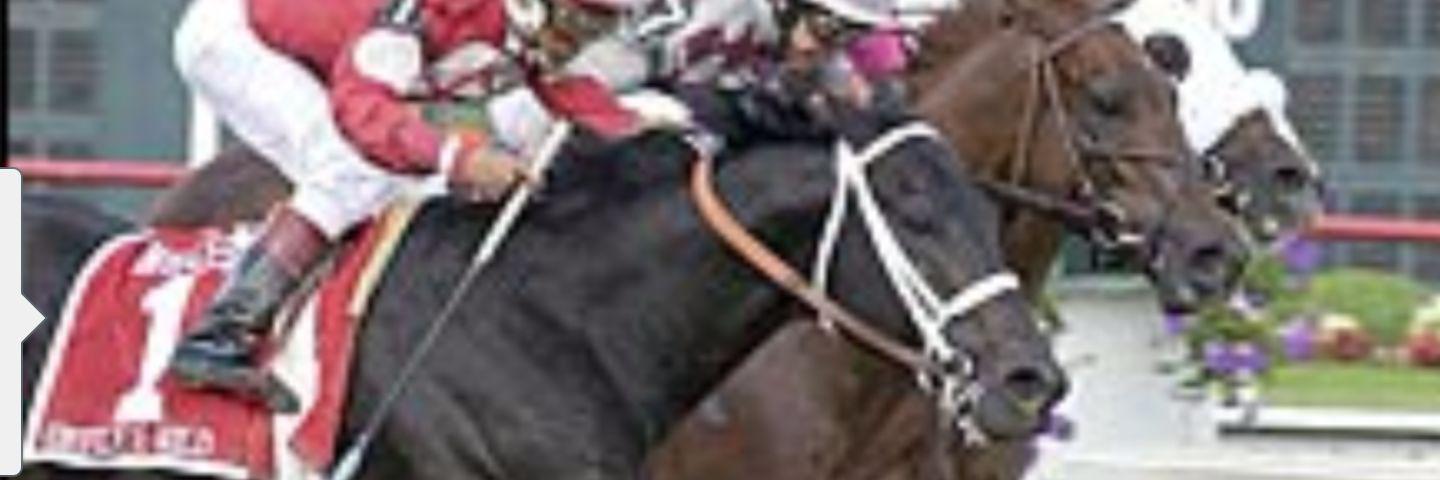 amysruffian's profile banner image