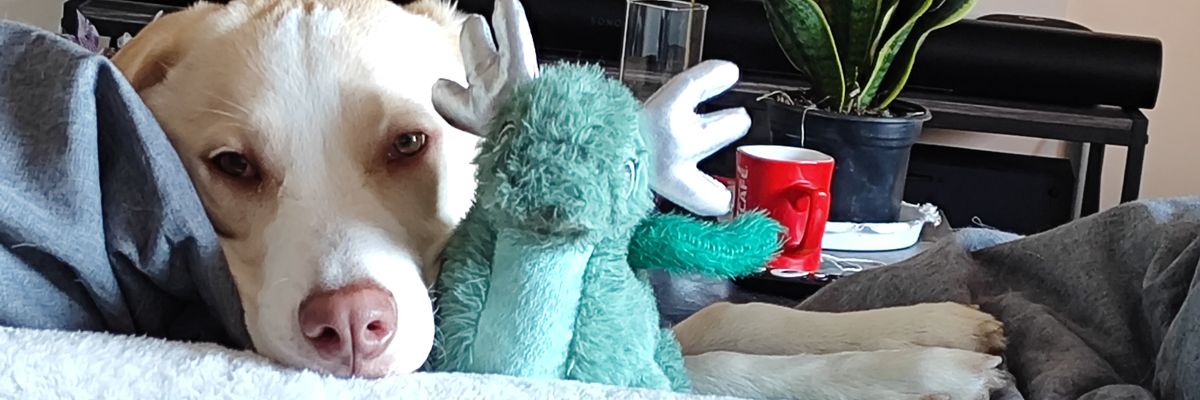 XimenaM_24's profile banner image