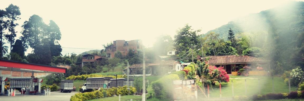 Piikita_'s profile banner image